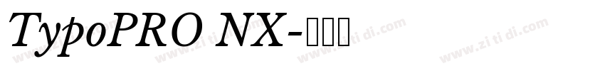 TypoPRO NX字体转换 TypoPRO NX字体转换